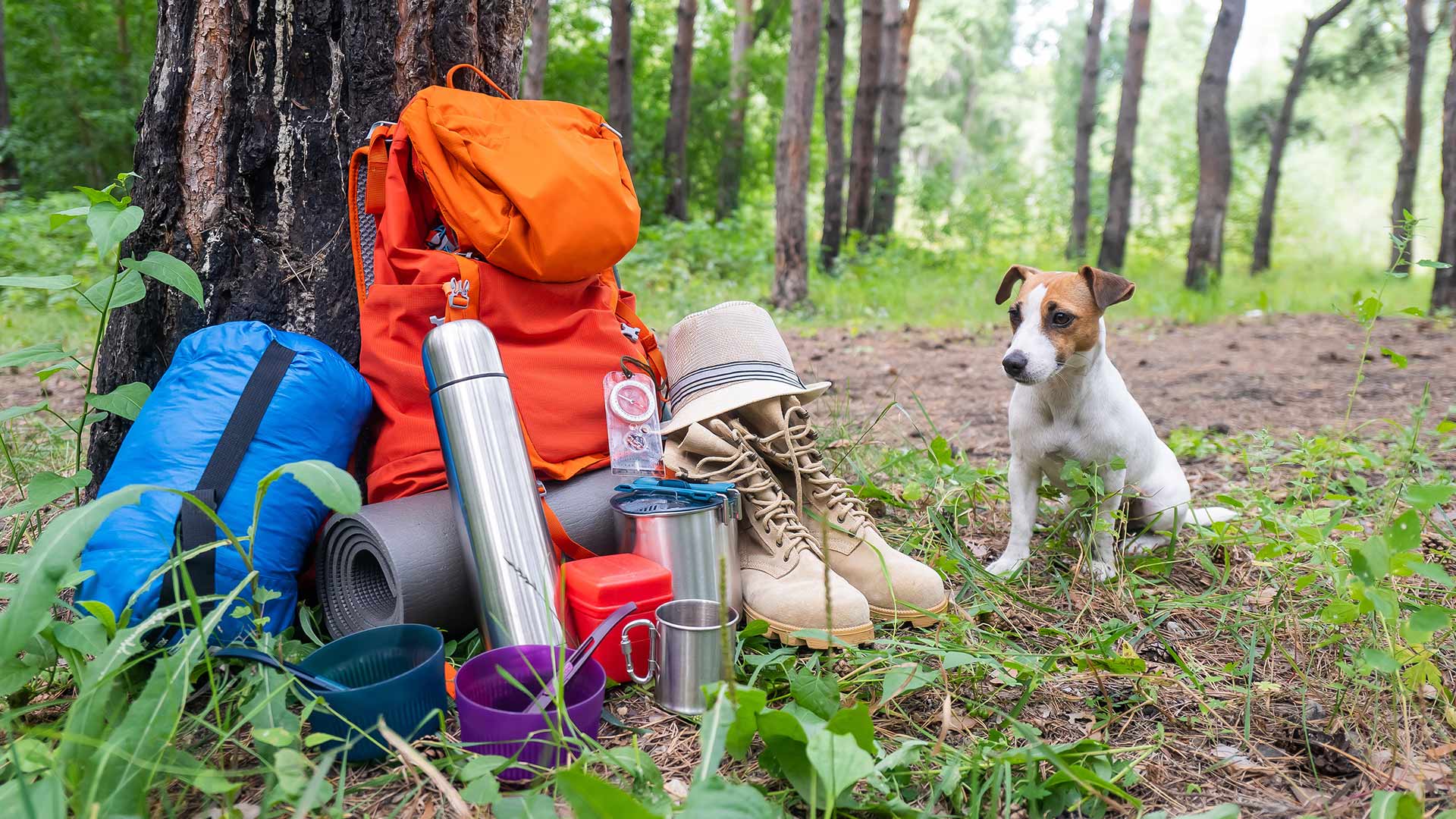 Wenn du deinen Hund mit in deinem Reisemobilurlaub nimmst, ist das richtige Zubehör wichtig. Mit dem Original Zubehör von Carado findest du praktische Produkte, die den Urlaub mit deinem Vierbeiner erleichtern.